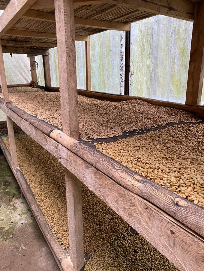 Arabica Coffee Beans - Image 7