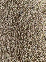 Arabica Coffee Beans - Image 10