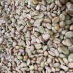 Arabica Coffee Beans