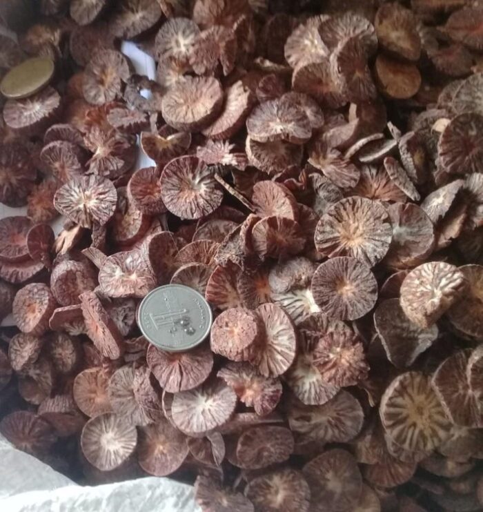 BetelNut Betel Nut - Image 1