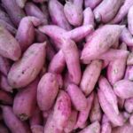 Ubi Jalar (Sweet Potato)