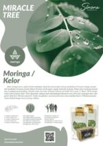 Miracle Tree Tea Bags - Image 3