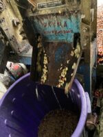 Arabica Coffee Beans - Image 4