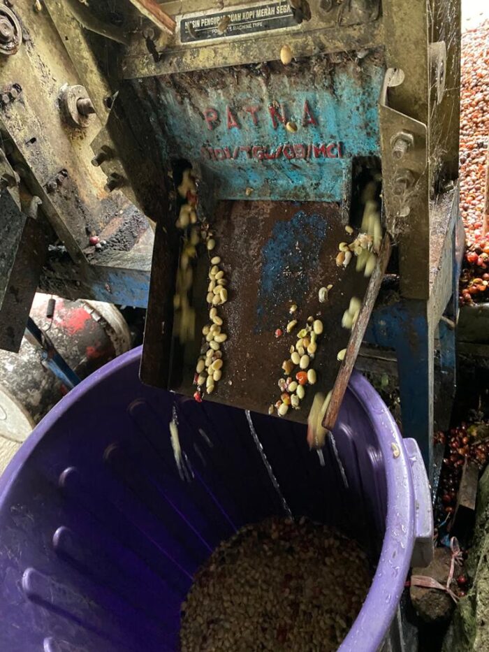 Arabica Coffee Beans - Image 4